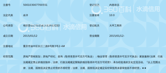 重慶領(lǐng)峰房地產(chǎn)營銷策劃