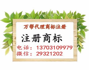 邯鄲公司注冊 內資公司注冊 領取營業(yè)執(zhí)照等 無地址辦人力資源專業(yè)
