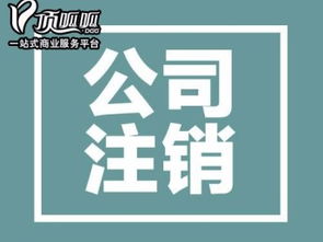 深圳內(nèi)資公司注銷及注冊全流程詳解